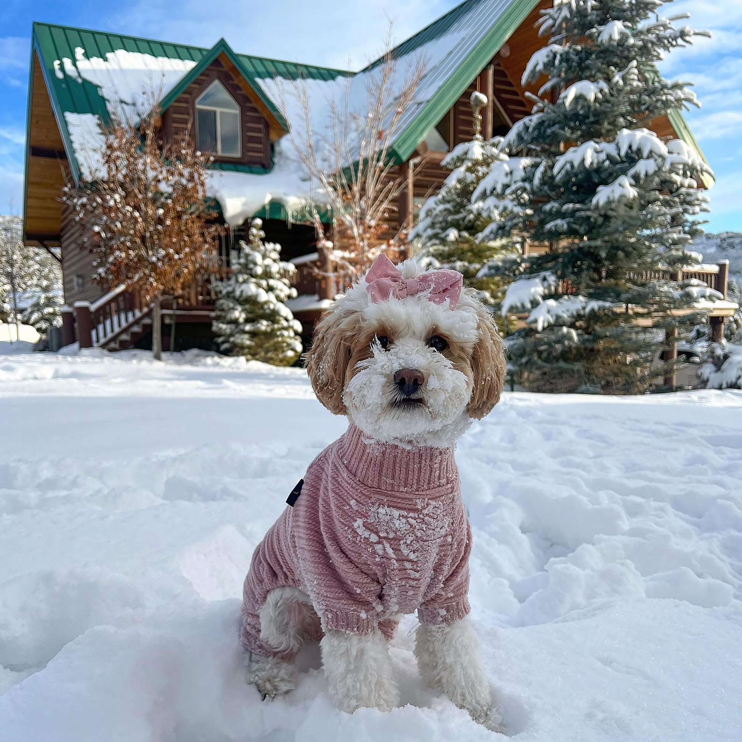 Fitwarm Turtleneck Knitted Dog Sweater Puppy Pajamas Thermal Doggie Winter Clothes Knitwear Pet Coats Cat Apparel Pink X-Large